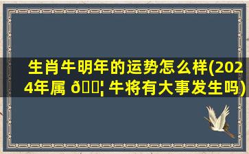 生肖牛明年的运势怎么样(2024年属 🐦 牛将有大事发生吗)